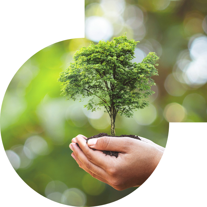 关怀人类、文化、环境与社会